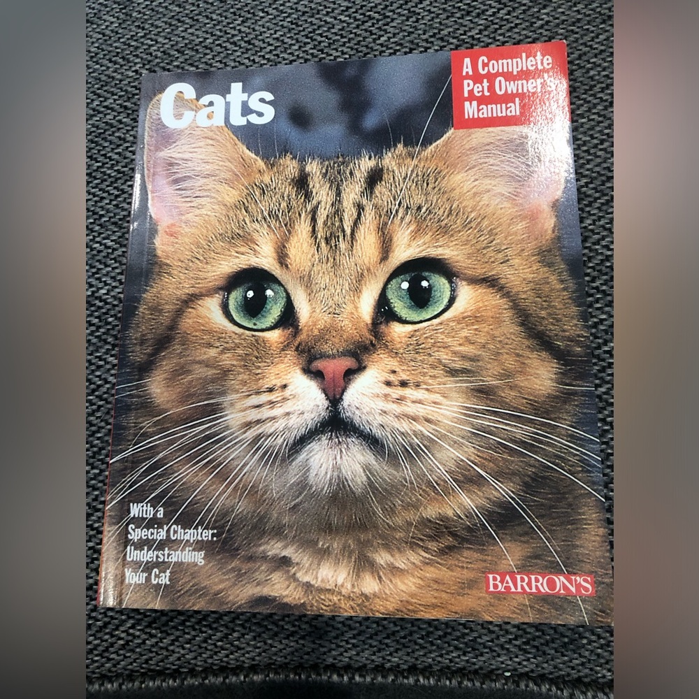 Cats Paperback Book By Katrin Behrend